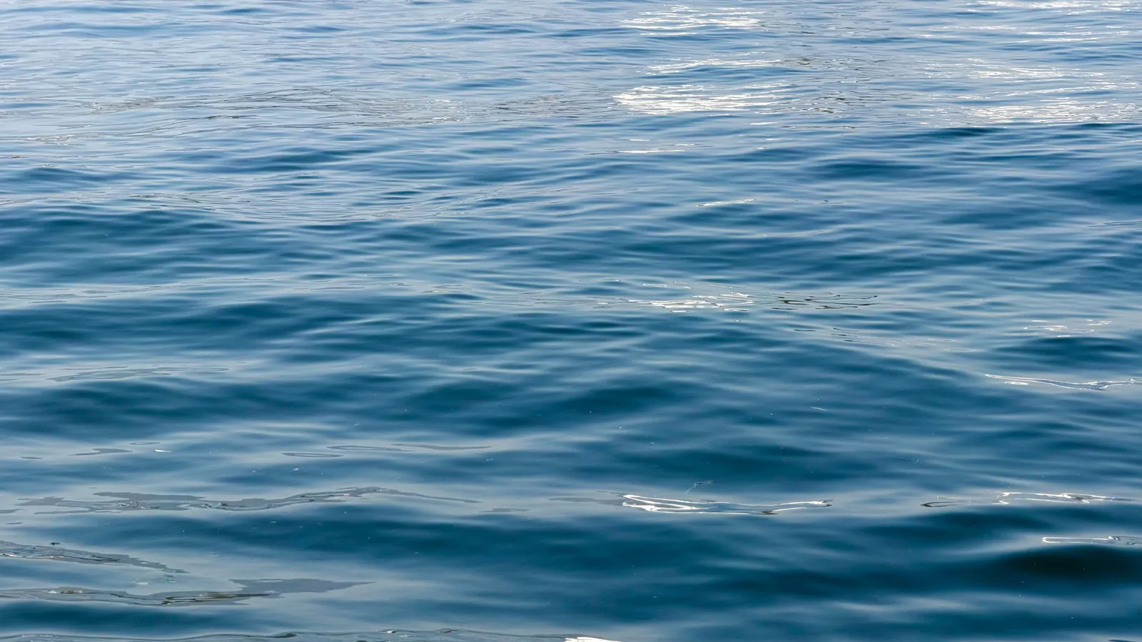 Lake Homes Near Clemson: What to Verify During the Option Period